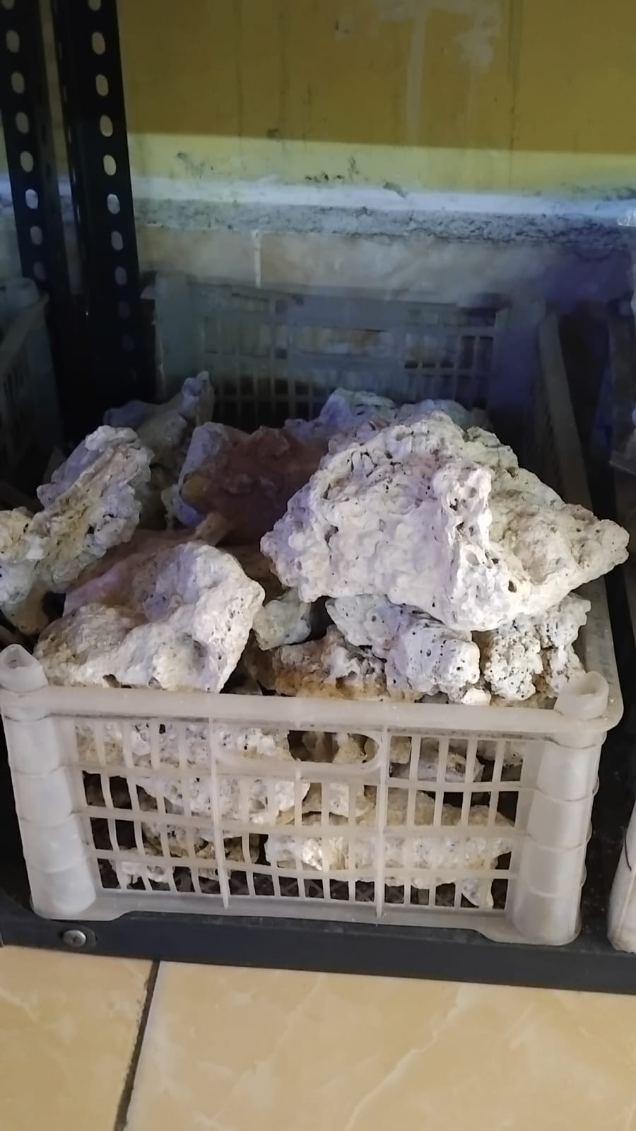 Batu Putih Besar
